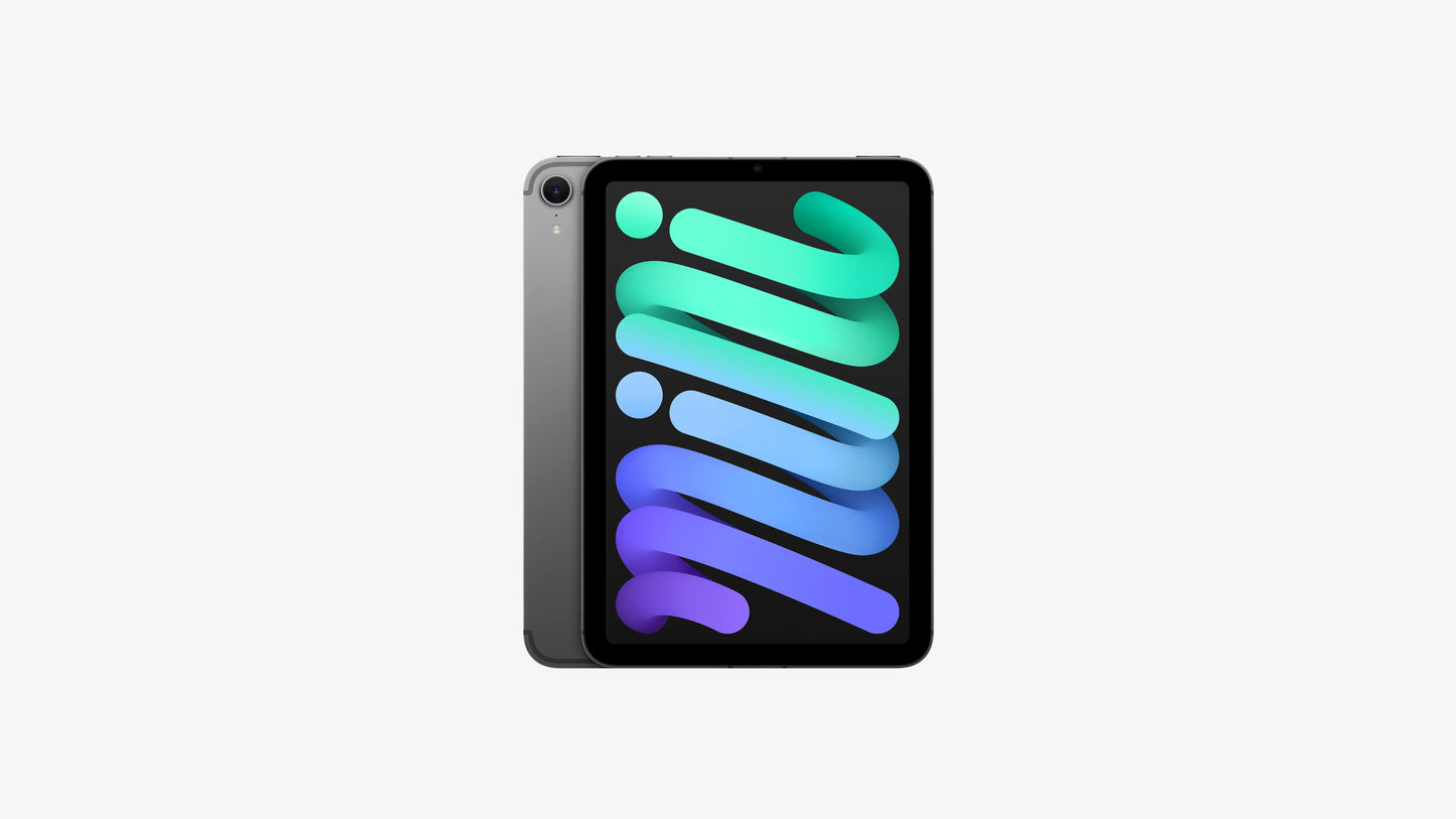 Apple iPad mini (Unlocked)